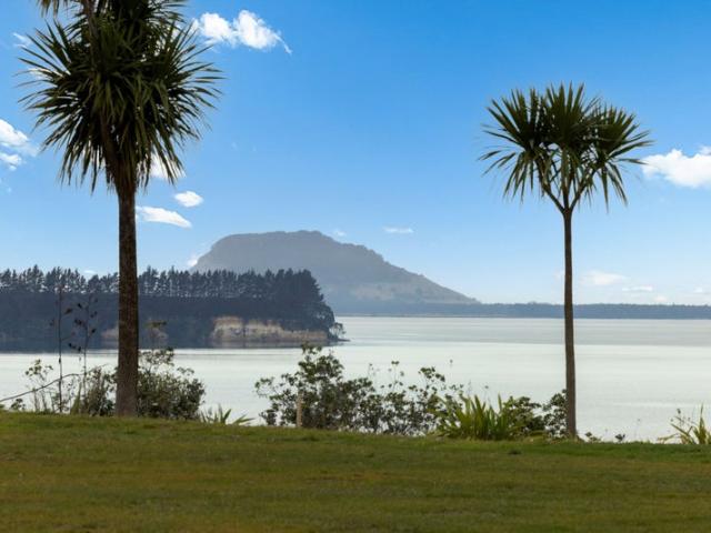 Introducing Lynley Park Omokoroa Peninsula!