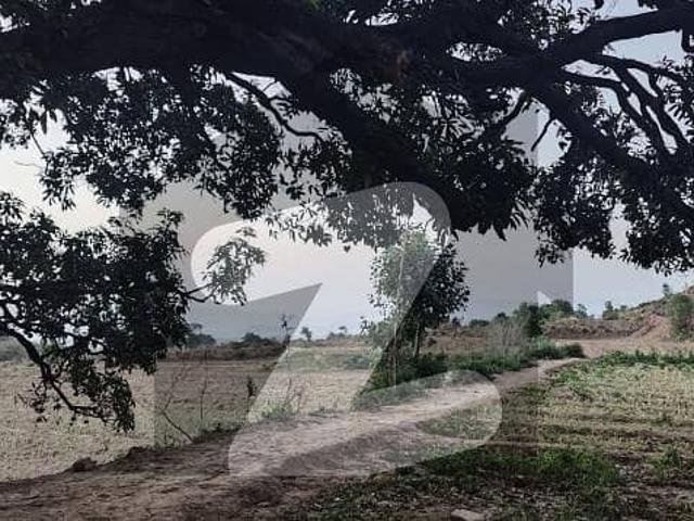Invest In Nature Investor Rate DHA Valley Surroundings Agricultural Land For Sale