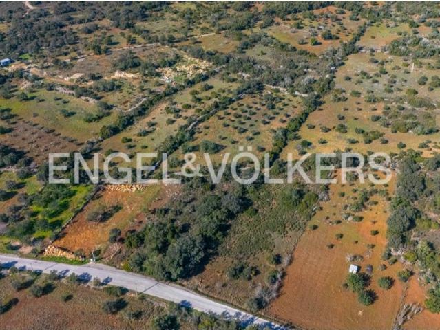 Investimento: Parque de Autocaravanas em São Brás de Alportel