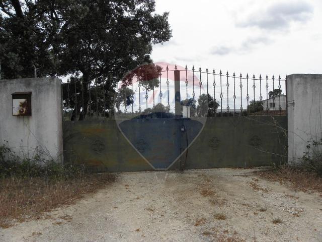Investimentos à venda em Alcanena