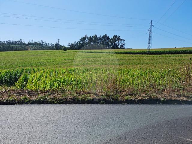 Investimentos à venda em Braga