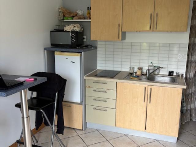 investissement locatif STUDIO avec terrasse Voglans