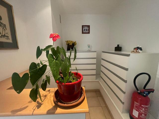 INVESTISSEMENT LOCATIF SECURISE VALLAURIS