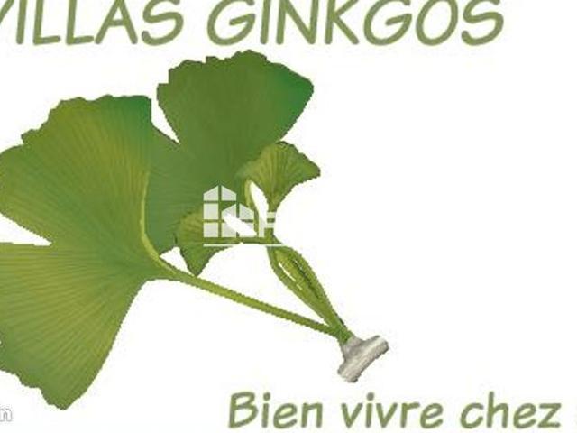 Investissement locatif