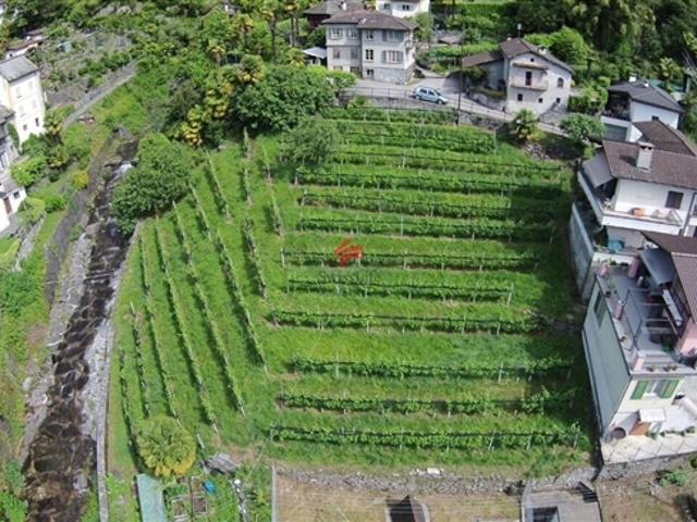 Investitionsmöglichkeit im Herzen von Verscio!
