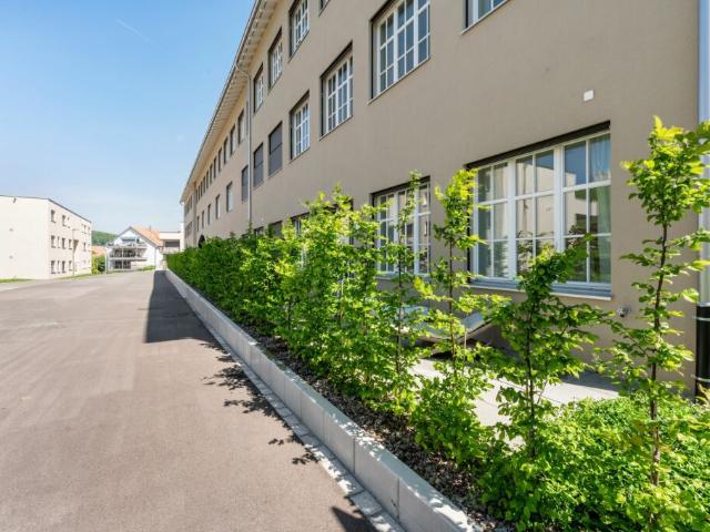 Investitionspaket in kernsaniertem Mehrfamilienhaus