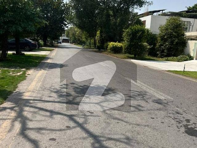 Investment Price With Large Driveway No Parking Issue Best For Palace Plot For Sale