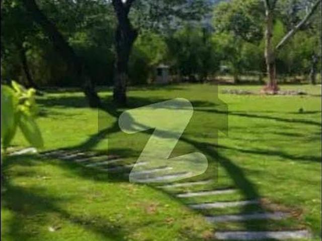 Investor Alert F8 Size 100*160 1 Square Yard Fully Renovated House 6Bedrooms With Attached Bathroom Drawing And Dining TV Lounge