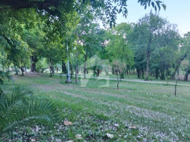 Investor Alert Prime F 8 Main Road Redevelopment Opportunity F 8 Islamabad 1777 Square Yards | Main Road Location