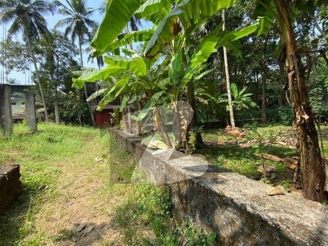 Investor Price Plot In F 7 A Rare Opportunity