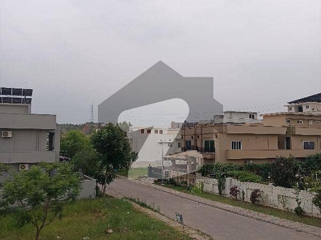 Investor Price Plot Is Available For Sale
