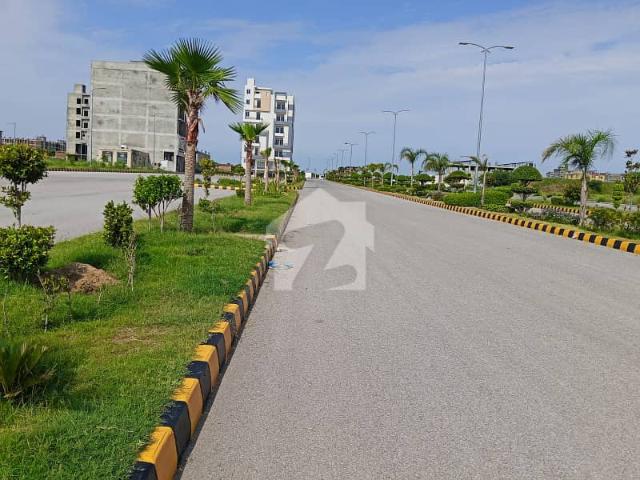 Investor Rate AGG C Block Plot For Sale Solid Land Heighted Area Market School Walking And Very Good Location