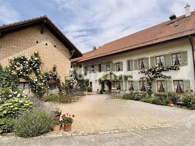 Investorenchance – Aufbau mit hohem Potenzial