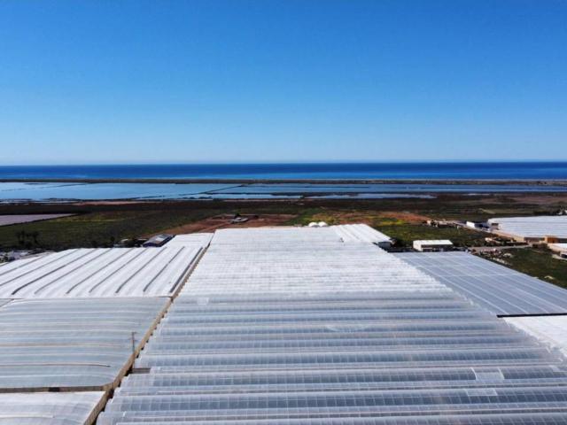 INVERNADERO EN VENTA EN CABO DE GATA