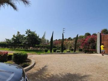 Inversión en Chincha Venta de Fundo 50,000 m² Zona Clave para Desarrollo Inmobiliario