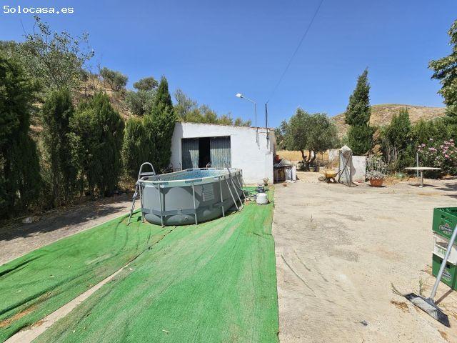Inversión única en Antequera: Restaurante en funcionamiento + 8 habitaciones turísticas en finca de