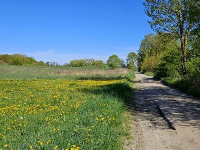 Inwalidzka 945 m², Szczecin