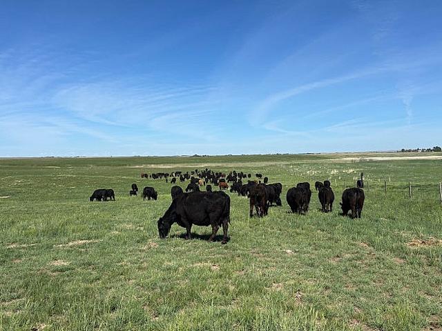 iso Pasture And/or Cultivated Land