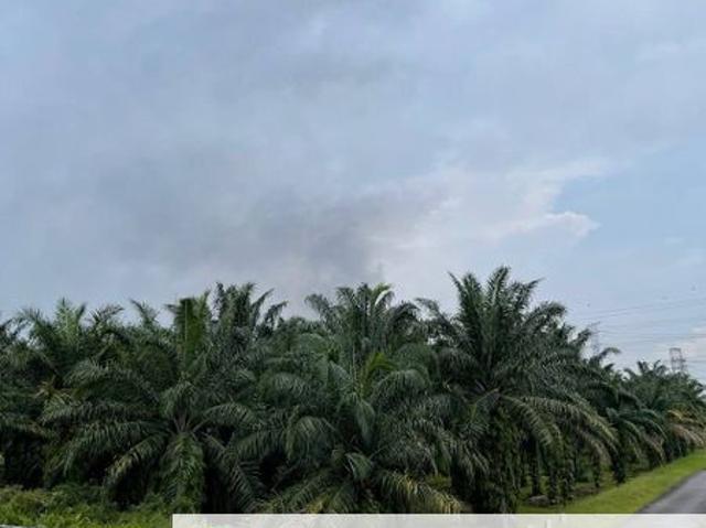 Iskandar Puteri