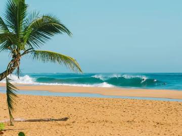Propiedades en Islas en Isla Colón | venta | de Playa Flat Rock Beach Playa Bluff, isla colón | inversión: usd 600000.00
