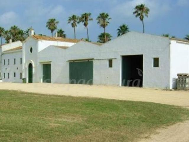 Isla de Buda