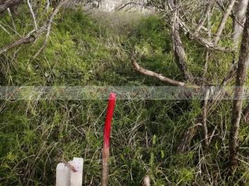 Isla Holbox