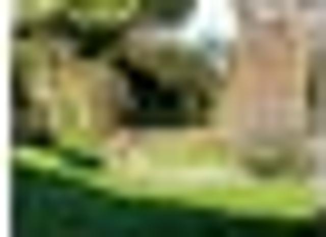 Island Bay, 1 bedroom, $570 pw