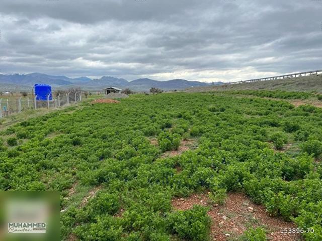 ISPARTA YOLUNA CEPHE TİCARİ POTANSİYELE SAHİP 2700 M2 ARSAARAZİ