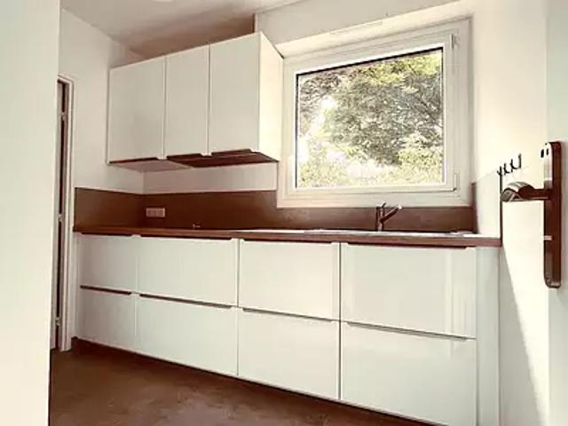 Issy les Moulineaux 92130 Achat / Vente appartement 3 pièces t3