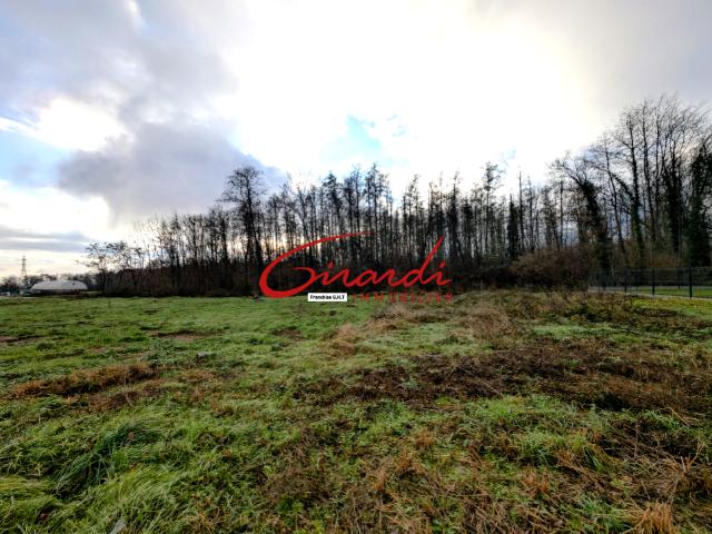 ISSENHEIM 68500 TERRAIN VIABILISE DE 550 M2 EN BORDURE DE FORÊT