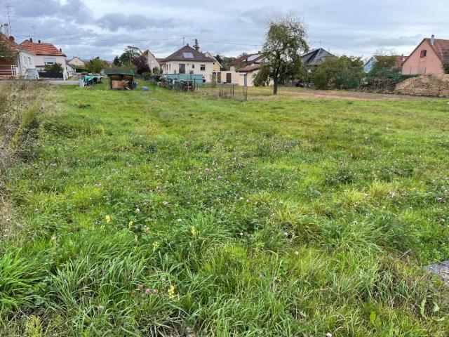 Issenheim Vente Terrain 68