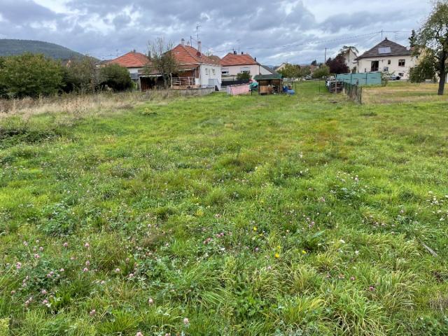 Issenheim Vente Terrain 68