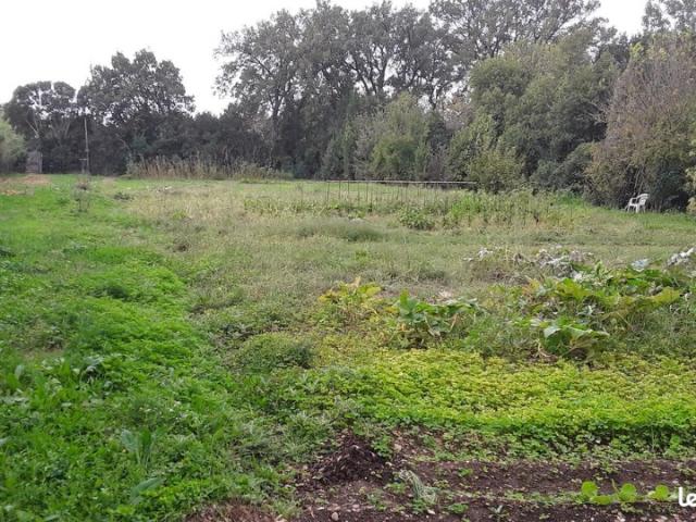 Istres Vente Terrain 13