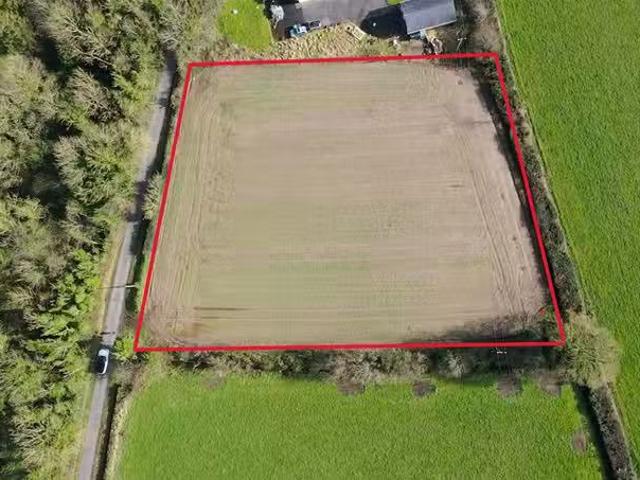 Irey, Ballyfin, Laois