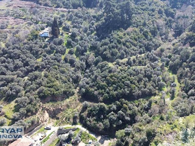 Şirince Yakını Yatırımlık 9.658M2 Satılık Tarla