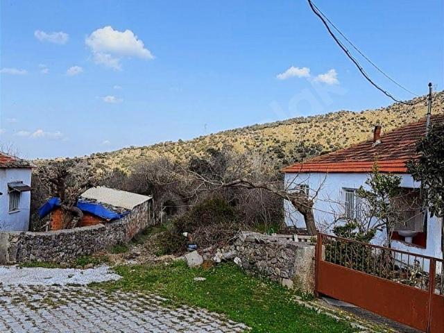 ÇITAKTA BAHÇELİ KARGİR EV, 33 ZEYTİN AĞACIYLA