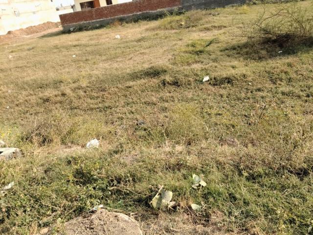 Itcity 400 Sq.Yd. Plot in Sector 82 A Mohali Listing ID: #10102