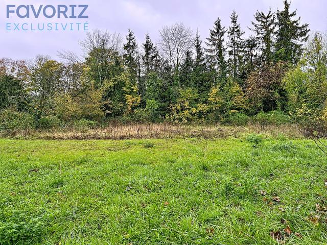 Izeure Vente Terrain 21