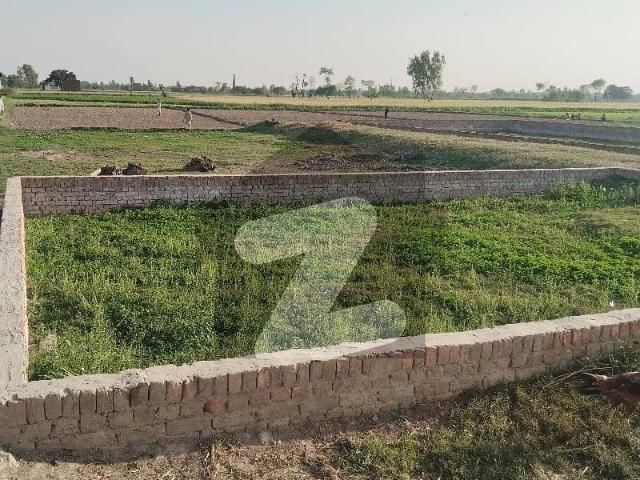 Buying A Agricultural Land In Mustafabad Lalyani?