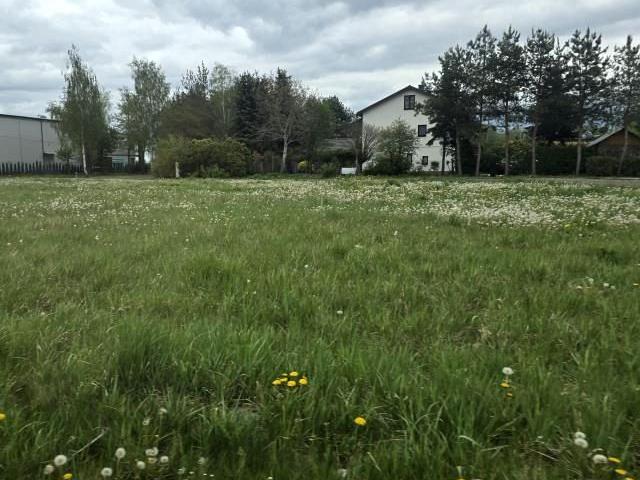 J. Korczaka 1 090 m², Dybów Kolonia