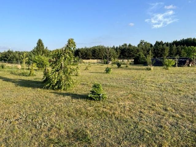 Jaćwingów 1 600 m², Woszczele