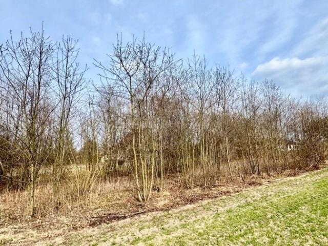 Jaśminowa 4 717 m², Rybnik