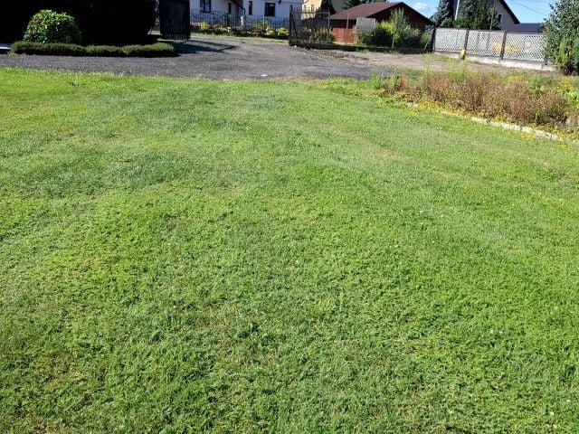 Jaźnik 5 000 m², Jawiszowice
