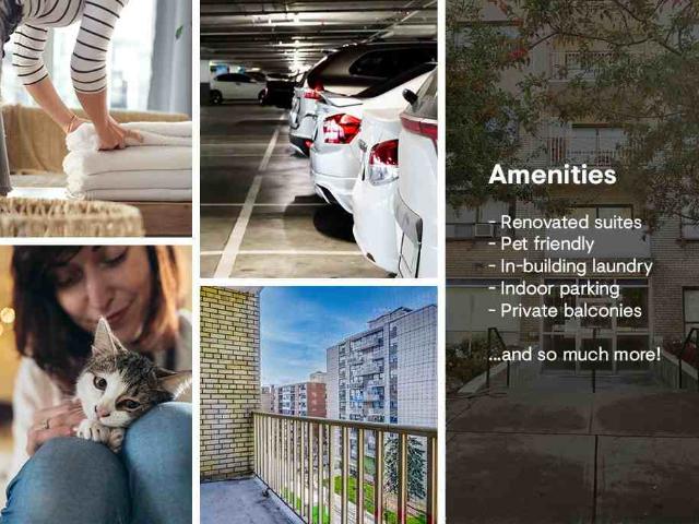 Jameson Avenue 1 Bedroom Apartment for Rent at 177 Jameson Ave, Toronto, ON M6K 2Y7 Parkdale