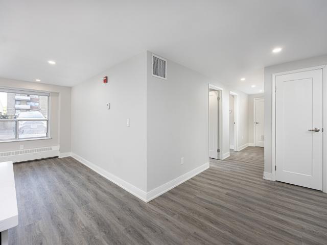Jameson Avenue Apartments 1 Bedroom Luxe Renovation Apartment for Rent