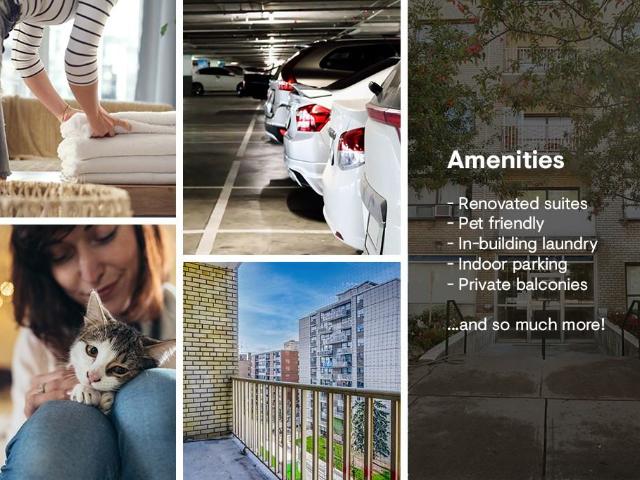 Jameson Avenue Studio Apartment for Rent at 177 Jameson Ave, Toronto, ON M6K 2Y7 Parkdale