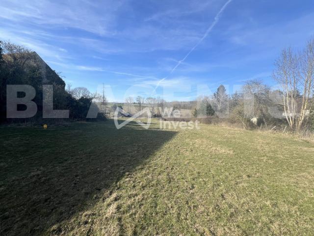 Janvry Vente Terrain 91