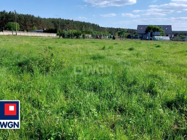 Jany 4 700 m², Jany