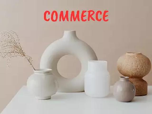 Janzé 35150 Achat / Vente divers