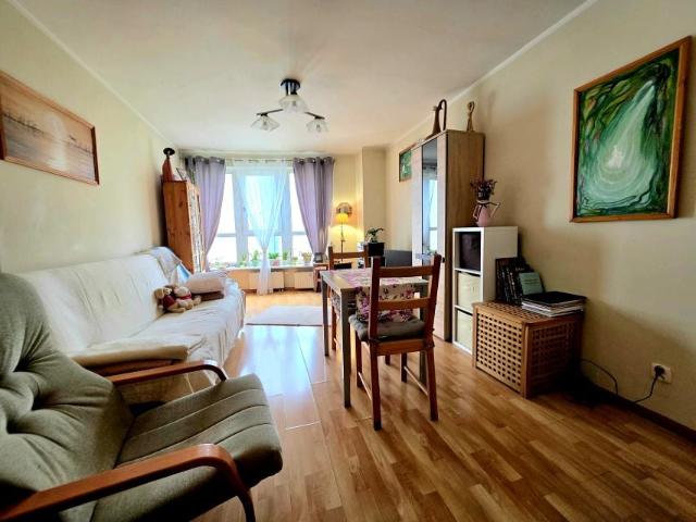 Jana Karola Chodkiewicza 7 46,10 m², Szczecin